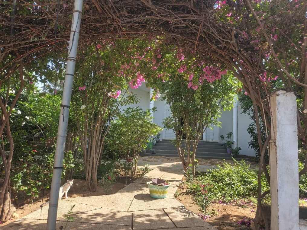 Allée fleurie de bougainvilliers menant à la villa de la retraite au Sénégal