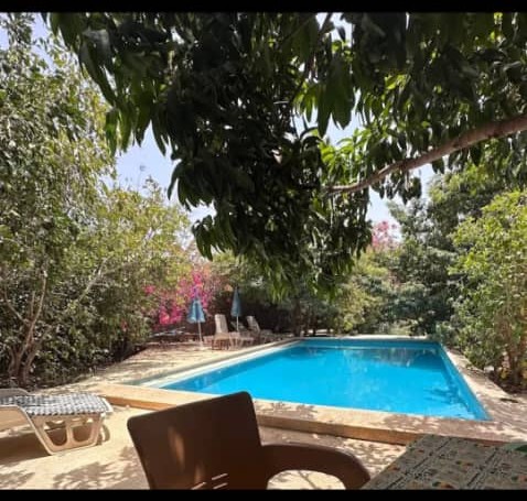 Piscine ombragée par les arbres et bougainvilliers du jardin