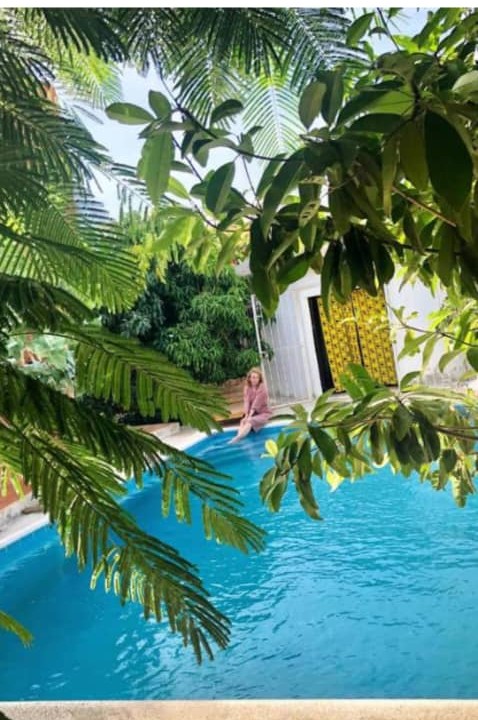 Vue de la piscine à travers les palmiers du jardin tropical
