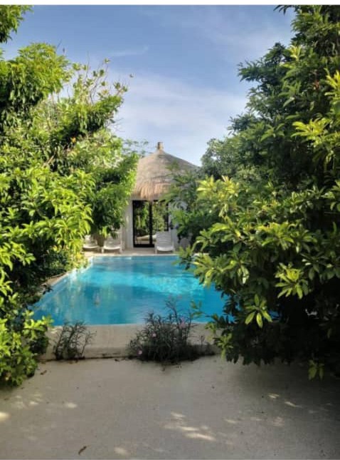 Piscine de la villa avec paillote et transats, entourée de végétation