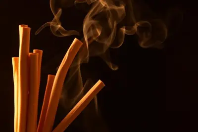 Palo Santo (bois sacré)